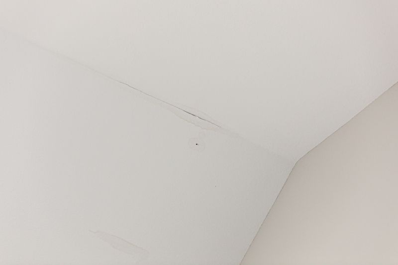 Ceiling Repair