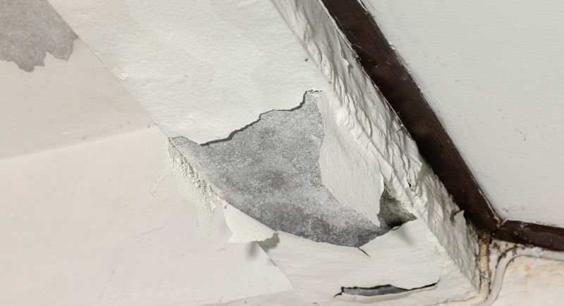 Ceiling Repair