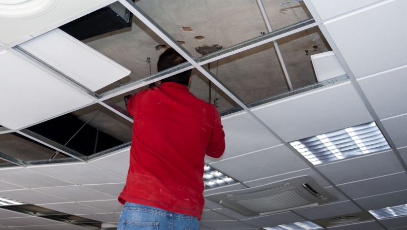 Ceiling Repair