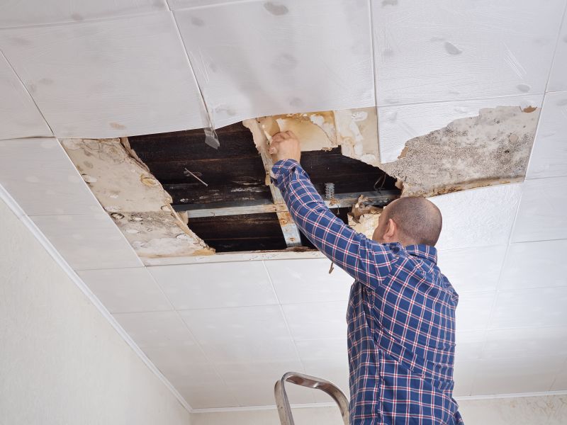 Summer Ceiling Maintenance
